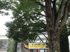 旅の始まりは武蔵境駅から。
大阪在住の友人が遅い夏休みで一週間弱東京に滞在しているので、
お互いの予定を合わせて会うことにしました。
私も友人も武蔵境駅に来たのは初めてです。
この日の朝は一気に涼しくなったのですが、台湾帰りの私は
半袖、サンダル。友人も東京も暑いかと思って～と、半袖とサンダル。
急に涼しくなると、着るものに困ります・・・。