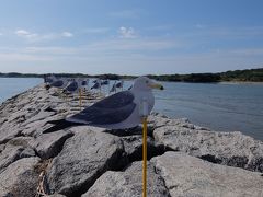 アート作品
カモメの駐車場

この時点で13：30