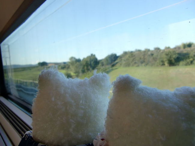 世界の車窓から～