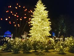 コペンハーゲン最後の夜を堪能するため、夜のチボリ公園へ。
電飾がすごい。