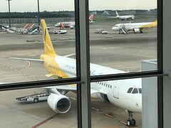 飛行機での移動