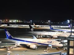 飛行機での移動