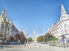 駅にほど近いリベルダーデ広場には、高さ70mの時計台がある市庁舎がデーンと鎮座してます。
この大通り、なかなか素敵な光景なのですが、暑いので人もまばらでした。