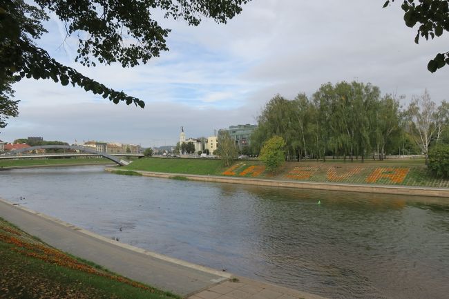 帰りも歩いて帰りました。<br /><br />川沿いの道を真っ直ぐなので、迷う事はないと思いますが<br />普通の道路で、特に見る物などは無いので<br />体力温存・時間短縮の為にも、バスをお勧めします。<br /><br />ネリス川の土手に、何やら花文字がありました<br />「LAISVA」？<br />うーん(゜_゜)、よく分からんです(笑)