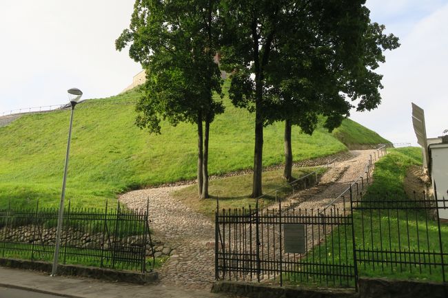 案内図の通りに歩くと、どうやら展望台へと向かう道に着きました。