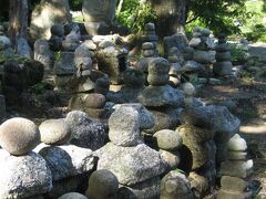 次は滋賀県「己高山」。
いつも石山寺から歩きます。