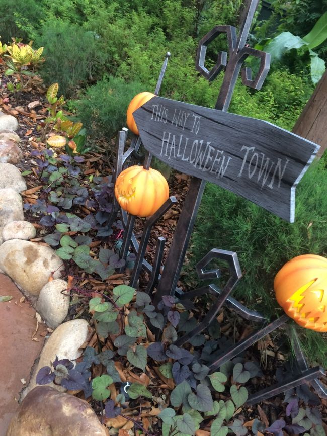 ハロウィン装飾