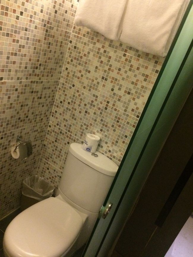 トイレと流しが一緒になってる