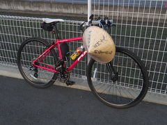 自転車での移動