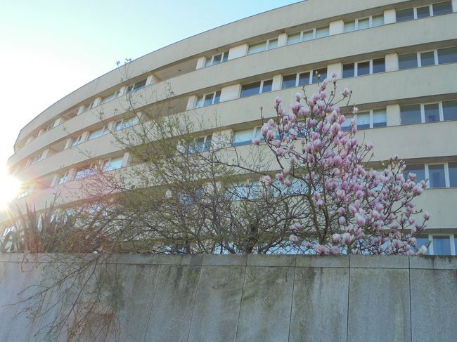 フランクフルトの乗り継ぎでずいぶん待たされたので、ポルトに着いたのが、夜中の１２時前、ホテルには１時を過ぎてやっと入れた。２日間、メキュールポルトガイアにお世話になる。