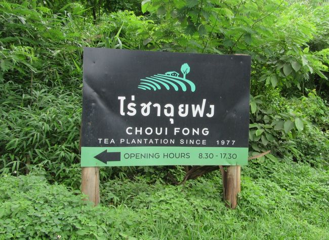 1130号線に入ると「翠峰茶園（Choui Fong Tea Plantation）」の看板が目に付くようになる。