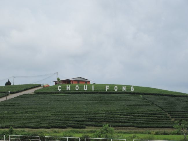 翠峰茶園に到着。入園料や駐車料金などの支払いはない。