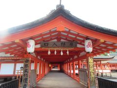 さて本日のメインイベント
厳島神社参拝です。
朝６時から参拝出来ます。
人がほとんどいません。