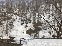 妙高高原駅に向けて、段々と標高を上げていきます。

周りの雪もどんどんと深くなっていきました。

しなの鉄道から妙高高原駅で、えちごトキメキ鉄道線に乗り換えます...

乗り換え時間が少なく写真は撮れませんでした。