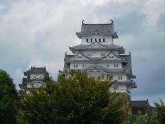 　大手前公園から見た姫路城です。この辺りからだと、改修後の白さが際立ちますね。