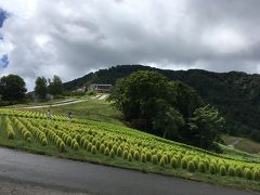 風が強く、天気が目まぐるしく変わります。
到着した時は小雨がぱらついていましたが、少し待つと歩ける程度に回復してきました。