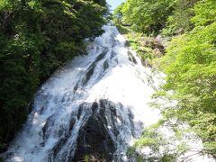 もの凄い水量で流れてきて迫力を感じた
今まで見た滝の中で一番心に残った