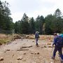 長野の旅　北八ヶ岳、天狗岳、白駒池（後編）