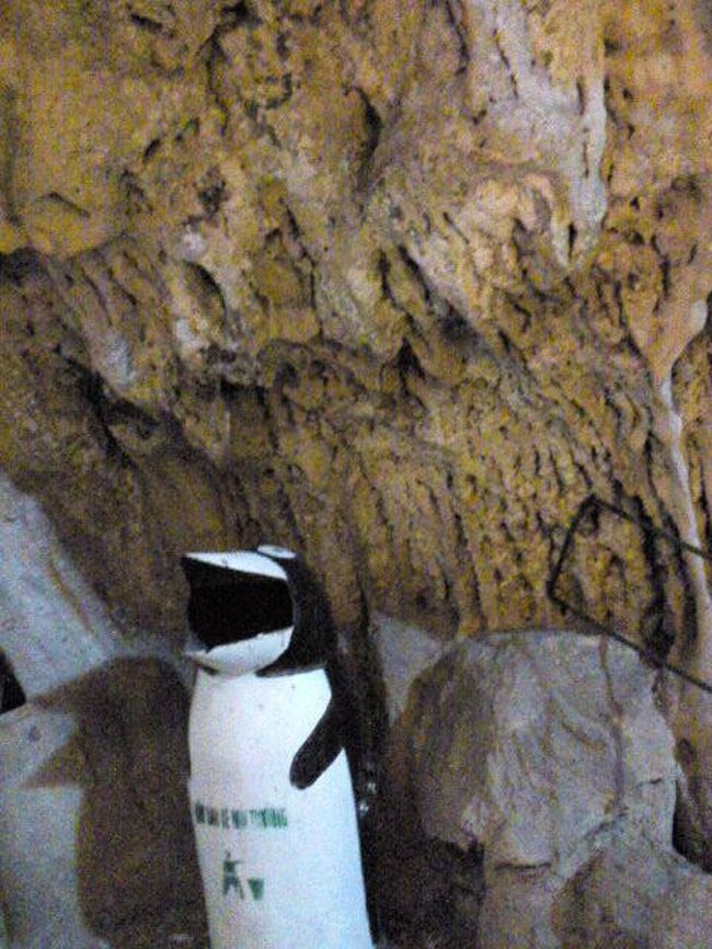 ゴミ箱がまぬけでかわいい。