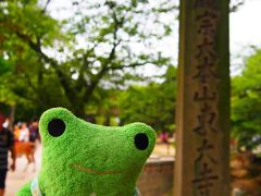 いよいよ東大寺けろ。
ここで写真撮ってたら人力車のお兄ちゃんにけろ子の名前聞かれたけろよ。
けろ子がかわいーから気になったけろな。