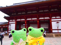 この向こう側に大仏様がいるけろか！！
この中門の向かって左側の方に入り口があるよ。