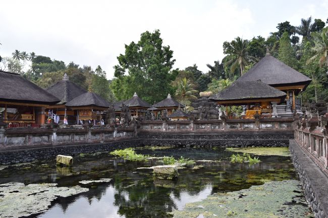 ゆっくり回りたかったけど、足早に一周して戻ります。