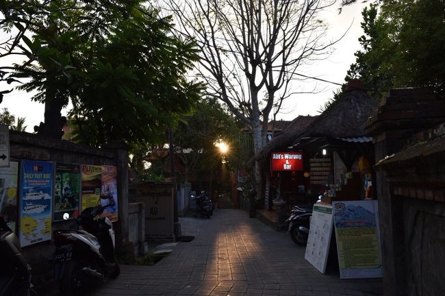 ゆっくり散策したかったウブドは、滞在時間１時間というショートカット。<br />お目当てのお店１軒に立ち寄り、ワンピースを購入（友人が）したのみ。