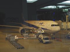 東京行きの機材。B767です。