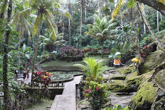 こんな素敵な庭園も