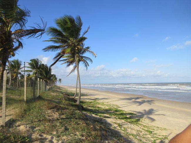 ５分歩けば大西洋<br />　数十キロのプライベートビーチ<br />　　アラカジュ港を望む<br /><br />