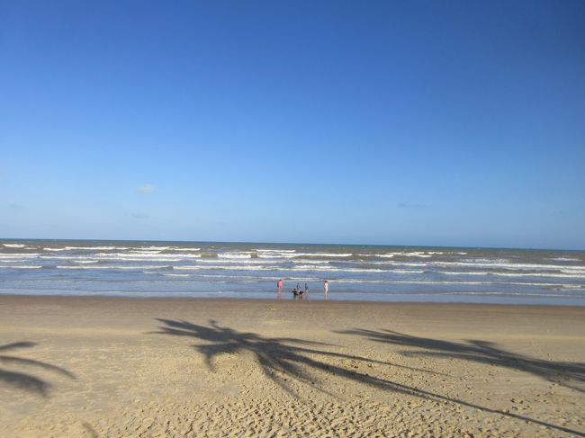 波打ち際で遊ぶ子供たち<br /><br />