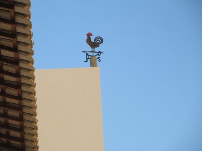 ガーロが目印ね<br /><br />こんな家が土地付きで、たった６００万円で出来る<br />　当然、共用施設・クラブ・専用ビーチが全部付いて<br /><br />日本だったら億の世界だけど、ここでは１５分の１<br />　なんで日本政府は国民に優雅を与えないんだろう？<br /><br />マッチボックスに住宅ローンで人生全域を縛る<br />　余裕の無い人生にて死ぬまで働かせる魂胆<br />　　年金が７０歳からでも選択可能とは？<br /><br />ブラジルで優雅に暮らせば良いさ<br />　コンドミニオの中にドロボーは来ないよ<br />　　<br />