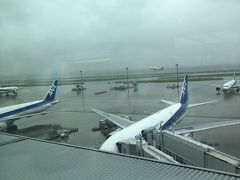 羽田は雨。
さて今回の旅行、お天気はどうなるのでしょう。