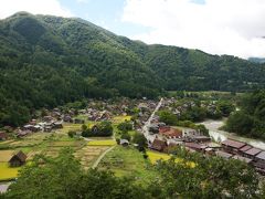 城跡からの景色。冬のライトアップもここから見るみたいですね！