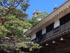 追手門から見上げる天守。
天守の上方には半月の月も見えます。