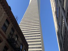 ここって展望台は、ないんでしょうか？？