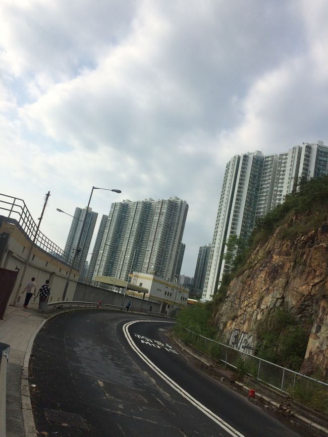 帰り道はこんな景色が続きます。