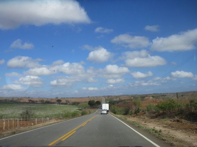 川に近付くと灌漑のおかげで地面が少し湿る<br />　ブラジル色の赤土が広がる<br /><br />