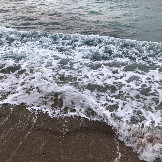 この日は雨が降ったりやんだりでしたが、朝はすごく気持ちが良かったです