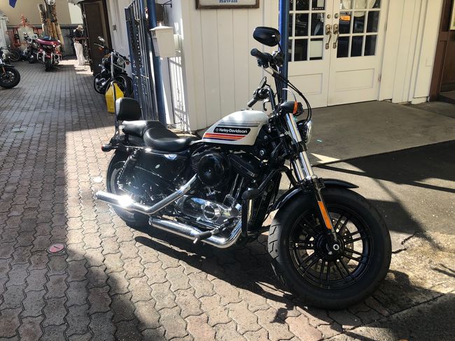 予約も無しで飛び込んだ、チェイスハワイ レンタルズさんで、am10：00からレンタル出来るようです<br /><br />免税店の向かい側、マリアからも徒歩1分<br />お店のお兄ちゃんもとても感じが良かったそうですよ<br />別日にお店の前を通った時に主人に声をかけたそのお兄ちゃんは、100%ロコかと思ったけど日本人だそうです