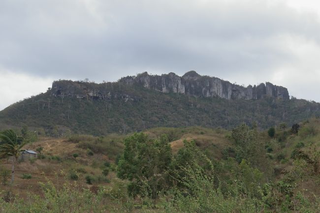 レッドツインギーに向かっています。<br />車窓からの景色です。