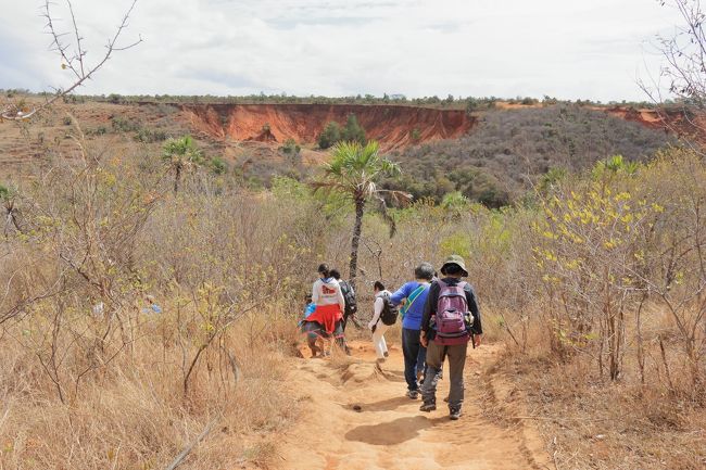 この様な道を約10分歩くとレッドツインギーに行くことができます。<br />行きは軽い下り、帰りは登りとなります。