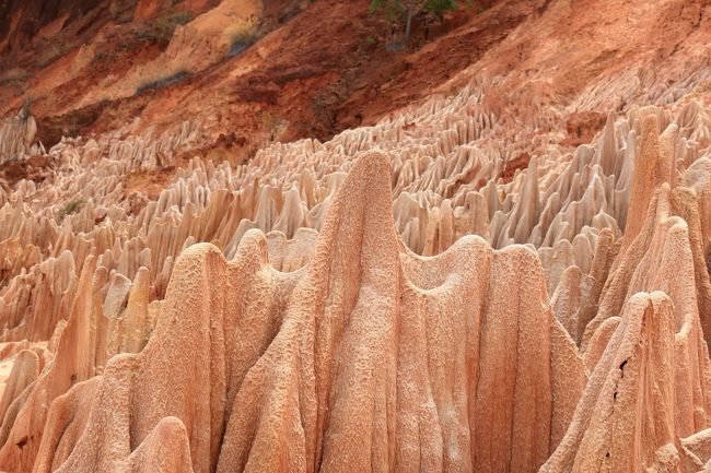 レッドツインギーです。