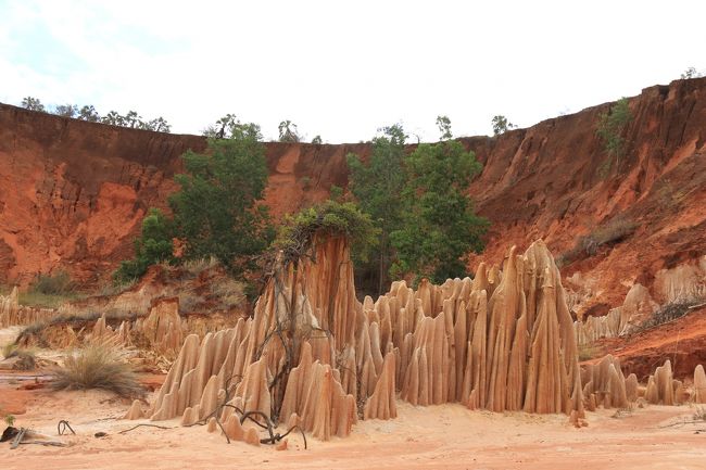 レッドツインギーです。