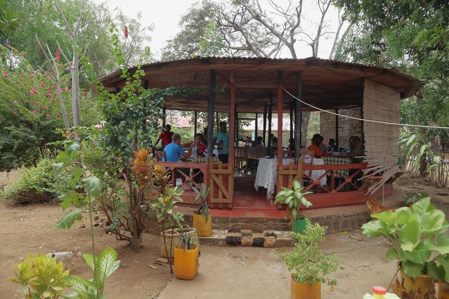 約2時間10分、灰色ツインギー近くのレストランに到着です