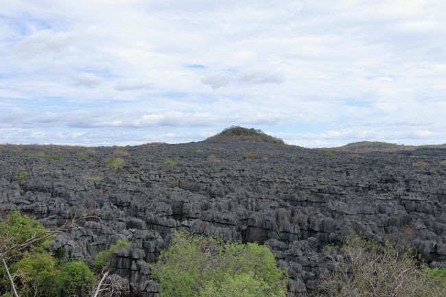 ガイドさんの説明を聞きながら、約2.8kmを歩き、ツインギーに到着です。<br />簡単な展望台が設けられており、そこから眺めています。<br /><br />ここのツインギーの特徴は、先端が尖がっていないことだそうです。このツインギーの中にはキツネザルなどが生息しており、見ることができるそうですが、今日は残念見れませんでした。