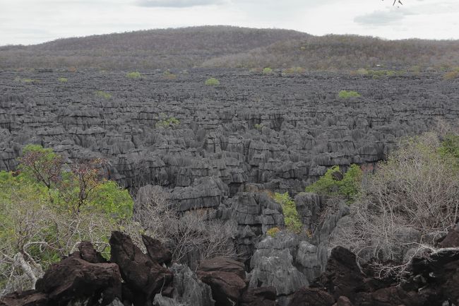 帰りも同じ道を歩き、駐車場に戻ります。<br /><br />15：35　駐車場を出発、ホテルに向かいます。