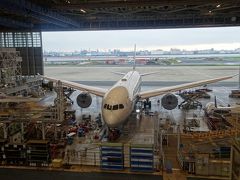 まず面前に現れたのは最もポピュラーなB７８７機、国内外を飛ぶ中型機ですが充分大きいです。