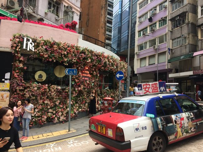 食べてばかりで何もしていない香港旅行だけど、やっぱり楽しかった。