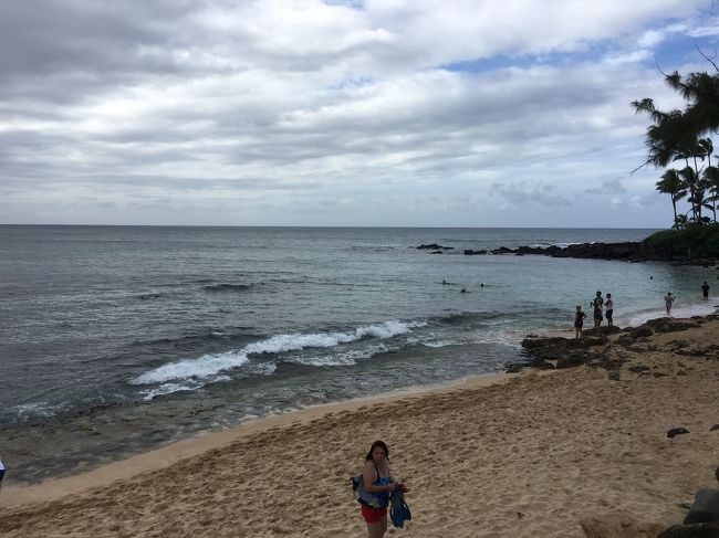 コストコでハワイアンホストのチョコレートなどを大量買いし、フラフラと見ていたら、3時すぎ。<br />ハレイワの街に着いたのが4時前。ここでもフラフラ。<br /><br />大変！海ガメに会いにワイメアビーチパークに行く予定が推してます。カメさん帰っちゃうかも、、、<br /><br />と、やっぱりカメさんはいません。<br />夕暮れだものね。<br />